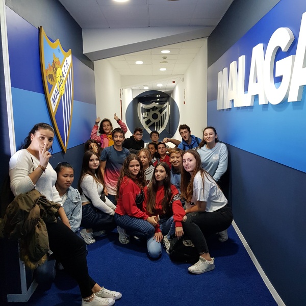 Diario Sur Y Estadio Rosaleda