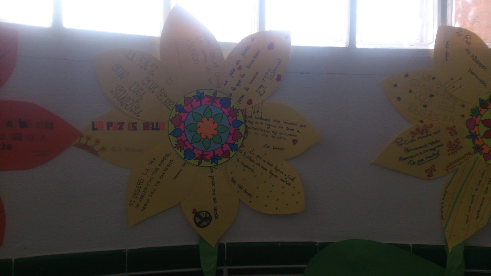 A8b95f97 1b29 44a7 aeff c41c76129035