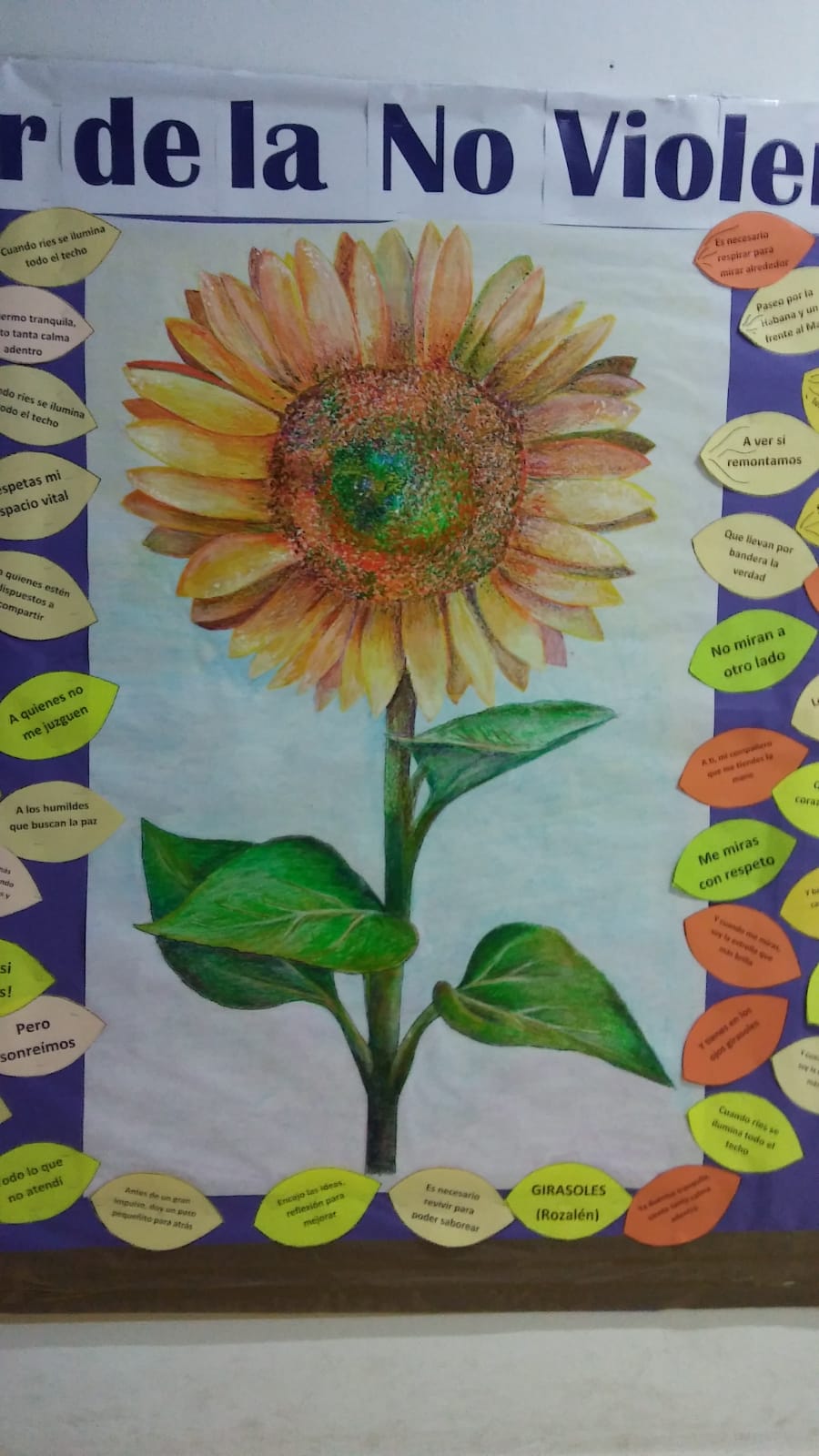 6dc6481a 787d 4969 bce4 58efcd4836fc