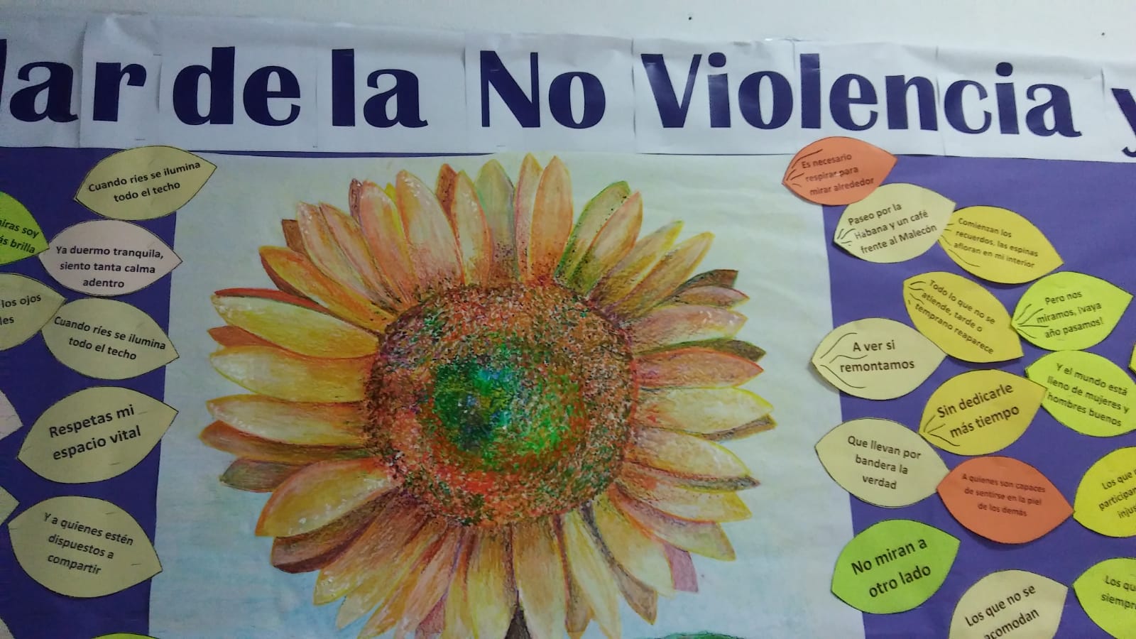 Ac802dc0 3ba9 4fc3 89bc 338057bd2293