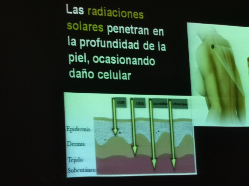 D512d5ab b682 4b96 b5e2 e4aa80acf4d6