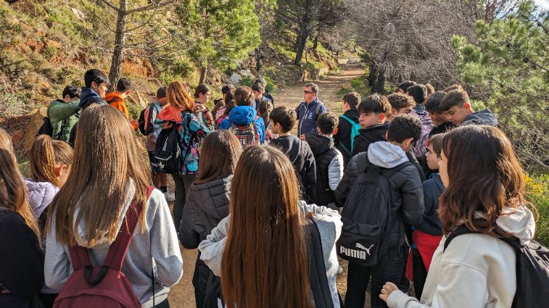 PXL 20240206 085737573.MP