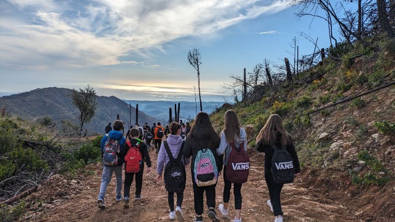 PXL 20240206 094155505