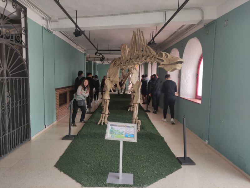 A31d486d 4c98 4ef3 8bf5 5caaa092534e